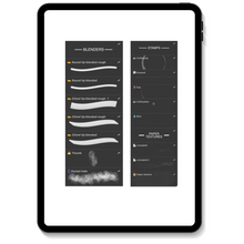 Load image into Gallery viewer, Graffiti Blackbook Brushes for Procreate