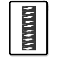 Load image into Gallery viewer, All In One Graffiti Brush Bundle for Procreate